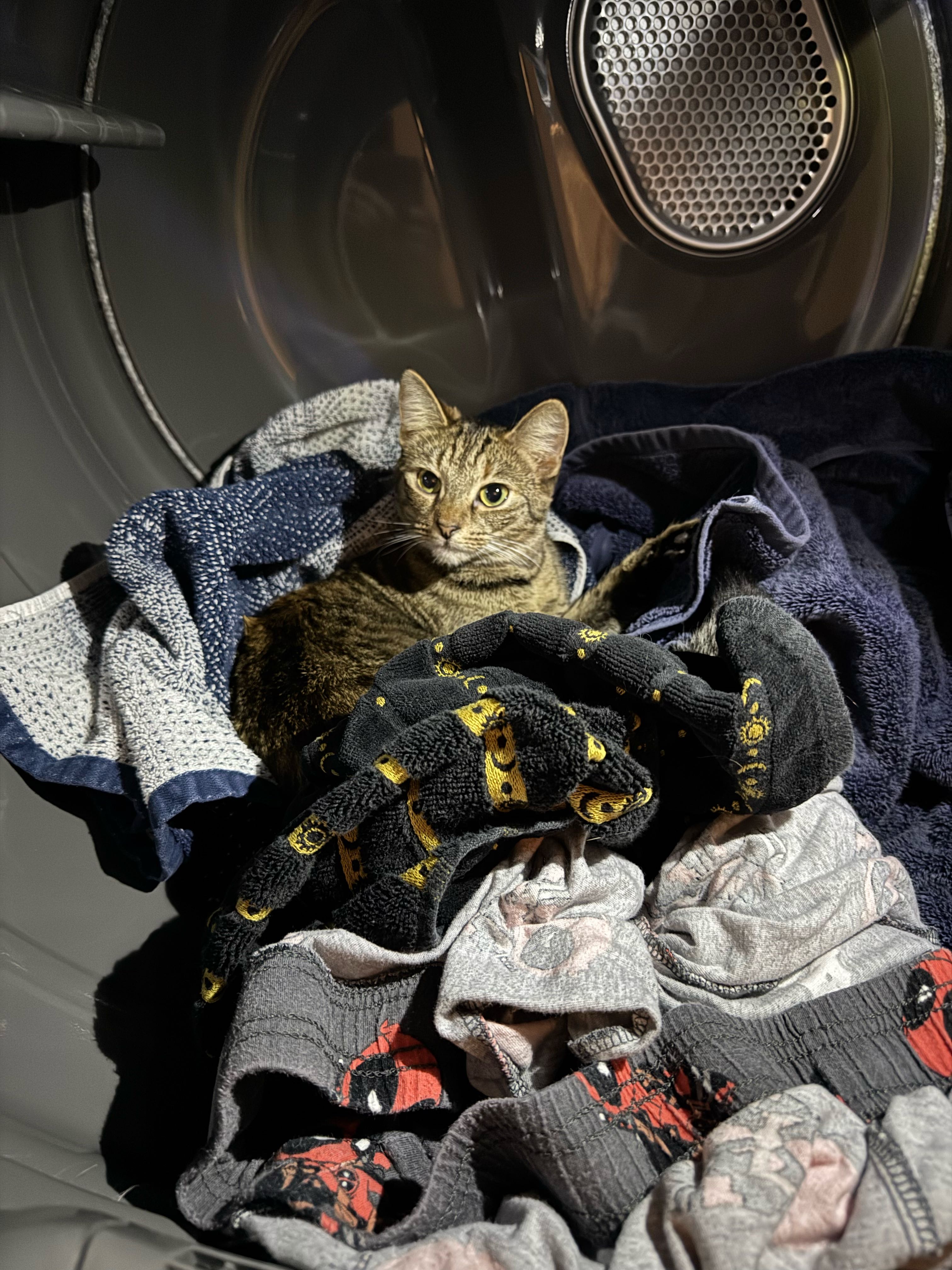 thomas.duchaney on One Bite Pizza App