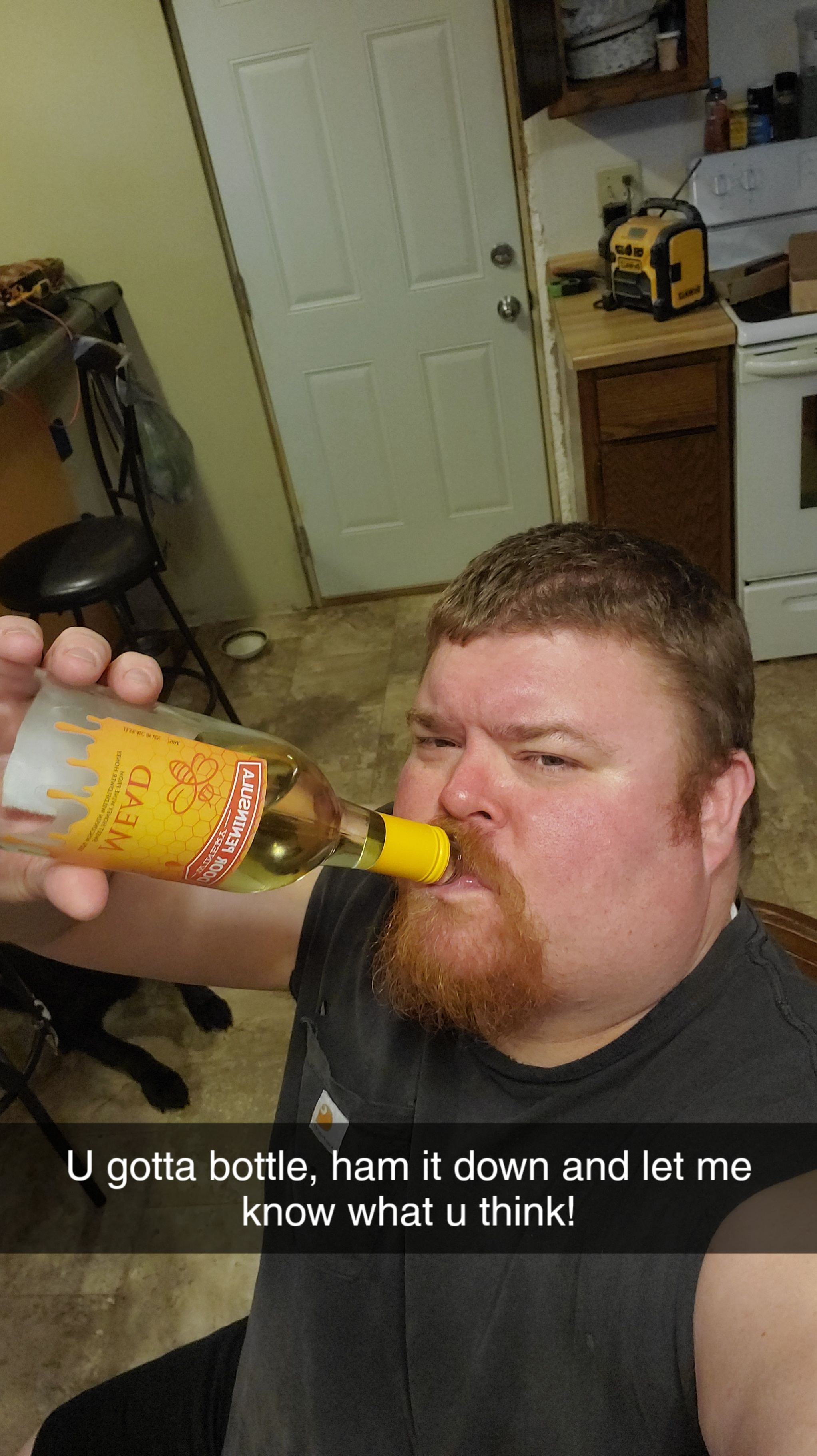 jeff.kohler1 on One Bite Pizza App