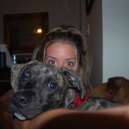 lexi.fregosi on One Bite Pizza App