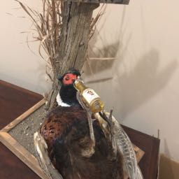 pizzareb on One Bite Pizza App