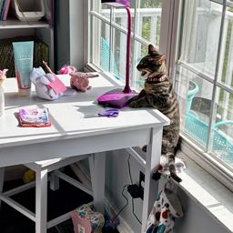 h2o13 on One Bite Pizza App