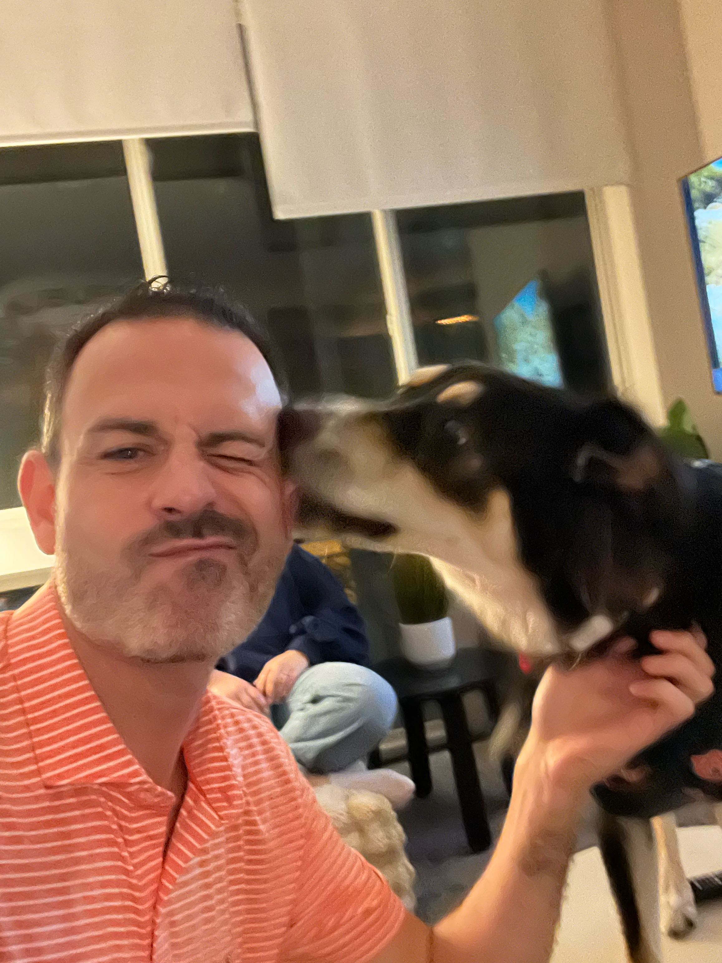 canes398 on One Bite Pizza App