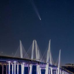 hnny7517 on One Bite Pizza App