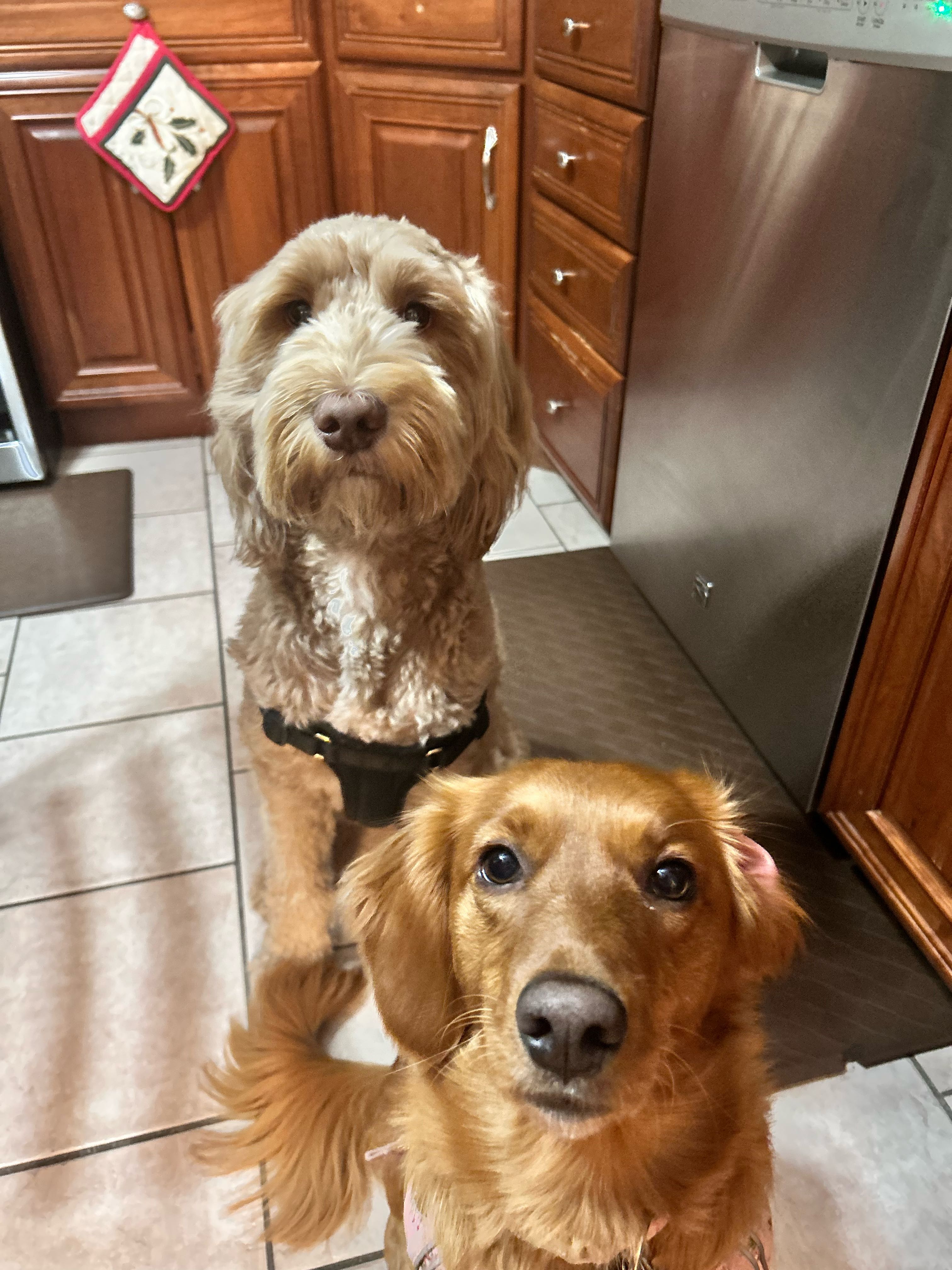 mike.cuccaro on One Bite Pizza App