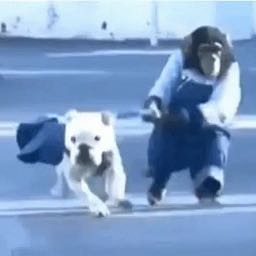 m.b40 on One Bite Pizza App