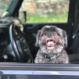 mcdiesel on One Bite Pizza App