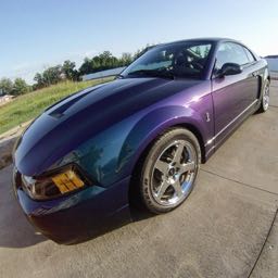 dustin.woods on One Bite Pizza App