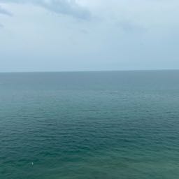 dixienormus on One Bite Pizza App