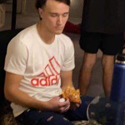 zach.malloy on One Bite Pizza App