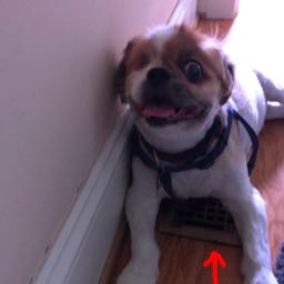 stuart.hughes on One Bite Pizza App