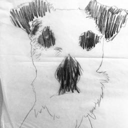 wadem on One Bite Pizza App