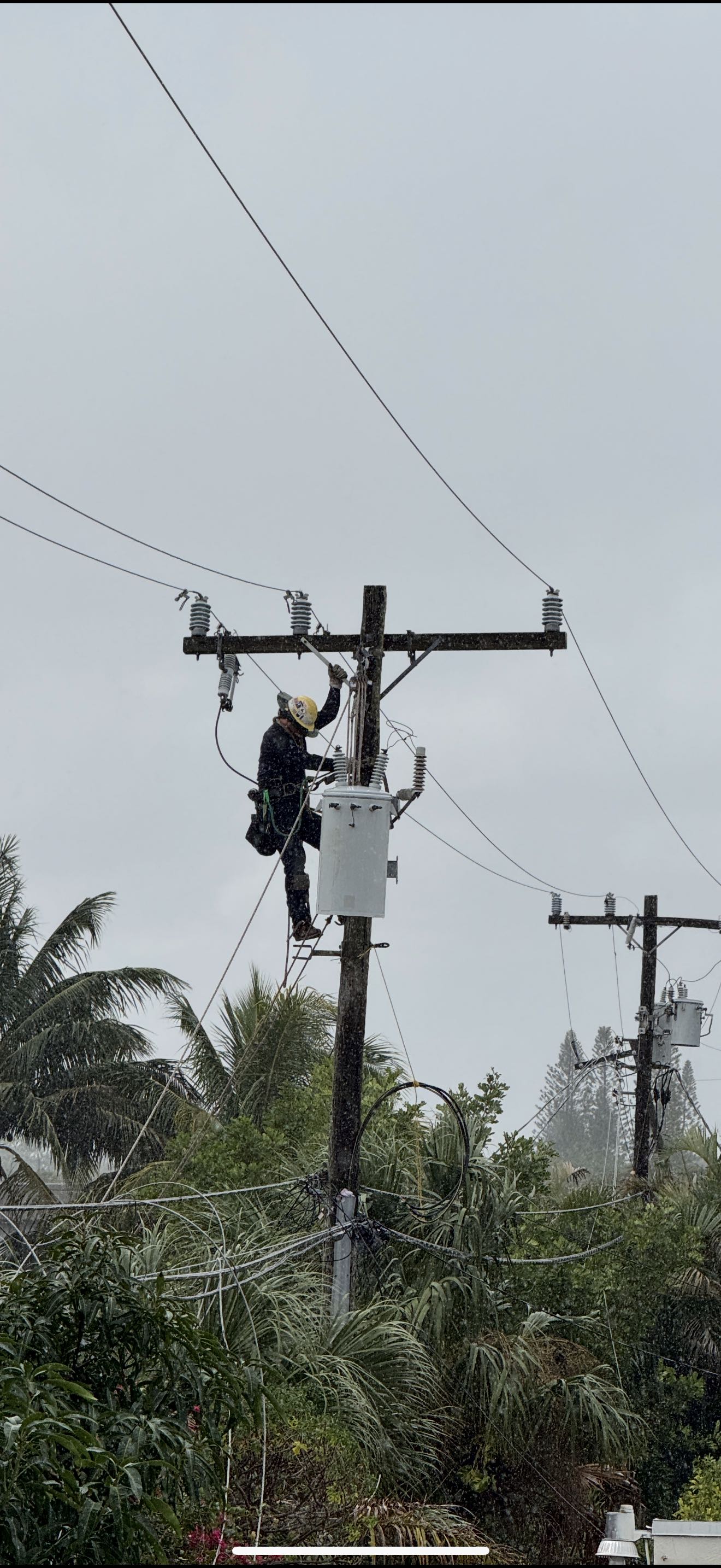 kyle.meadows3 on One Bite Pizza App