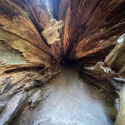 alexjblankenship on One Bite Pizza App