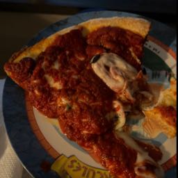 taylor.johnson11 on One Bite Pizza App