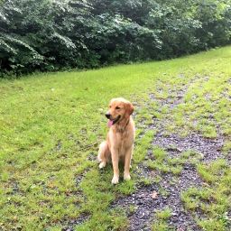 kgracely on One Bite Pizza App