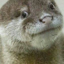 sandysavage710 on One Bite Pizza App