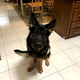 jan.krause on One Bite Pizza App