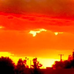 everett.wolf on One Bite Pizza App