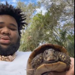 tdaubachh on One Bite Pizza App