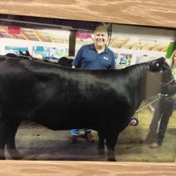 rob.mckeever on One Bite Pizza App