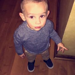 paul.streibig on One Bite Pizza App