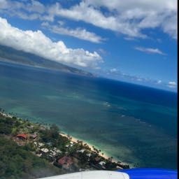 joey.cuzzupoli on One Bite Pizza App