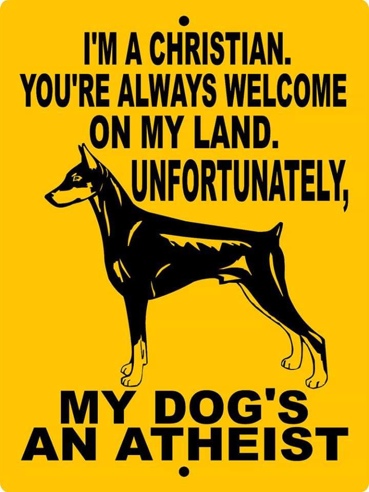 david.andrew on One Bite Pizza App