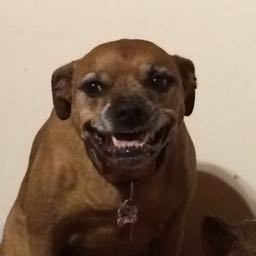 erving5 on One Bite Pizza App