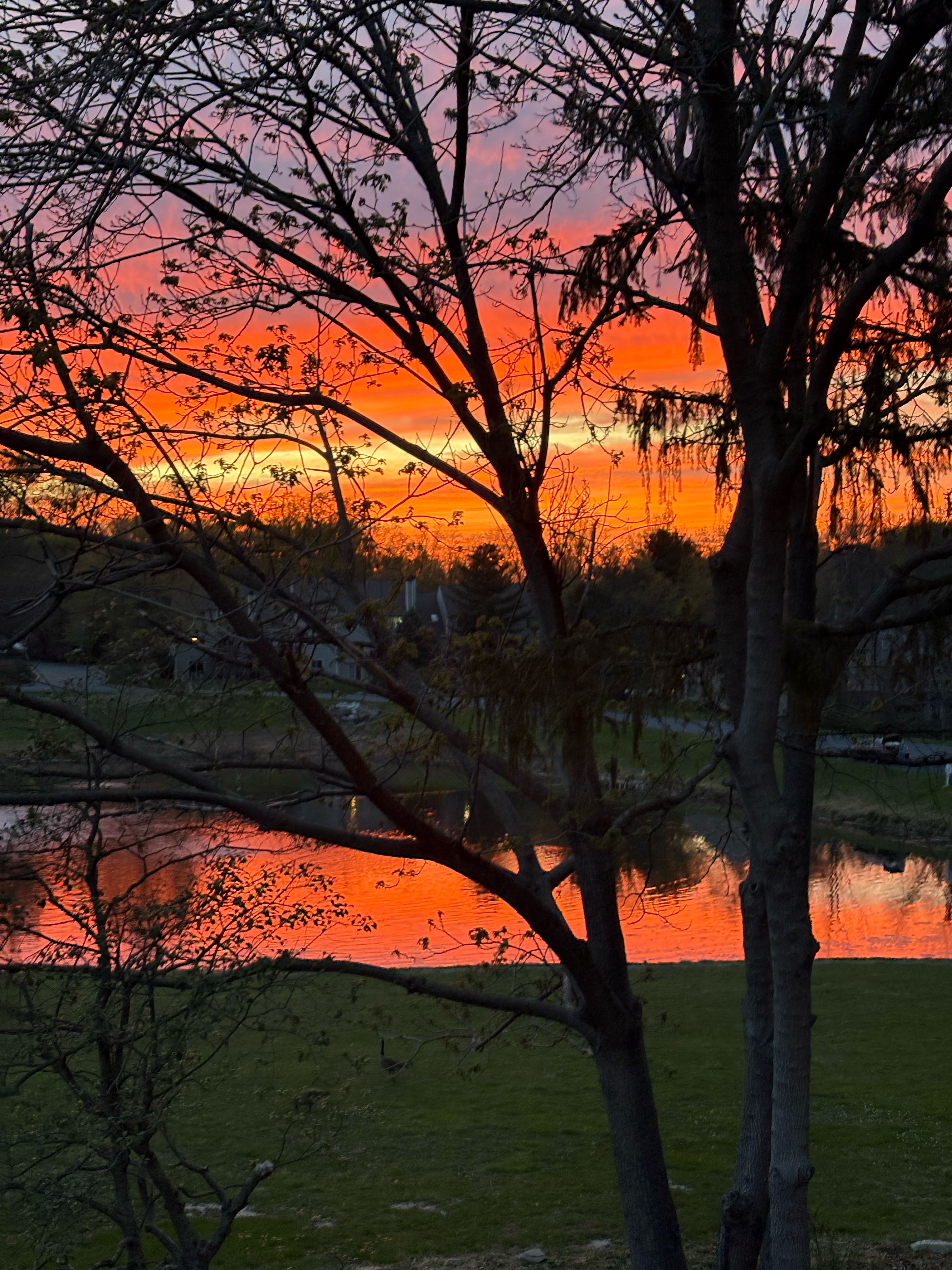 juice1982 on One Bite Pizza App