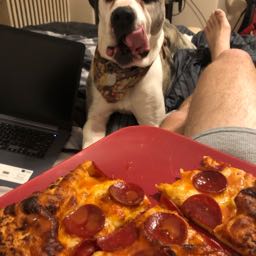 nate.lowney on One Bite Pizza App