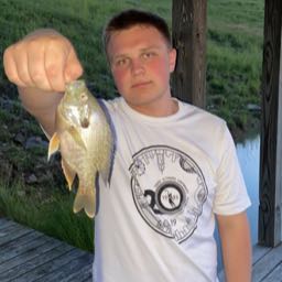 adam.george3 on One Bite Pizza App