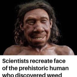 robert.saunders2 on One Bite Pizza App