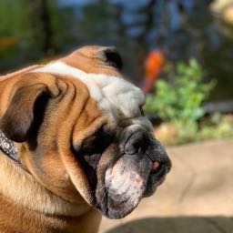 dave.trueb on One Bite Pizza App