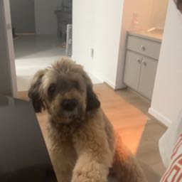 audrey.jones on One Bite Pizza App