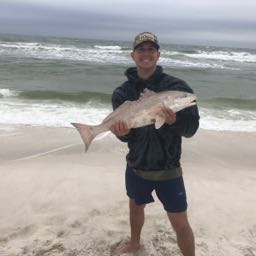 jack.hutt on One Bite Pizza App