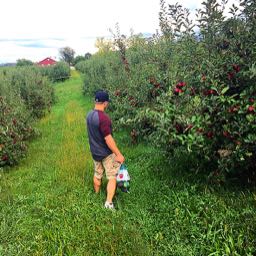 john.schubert on One Bite Pizza App