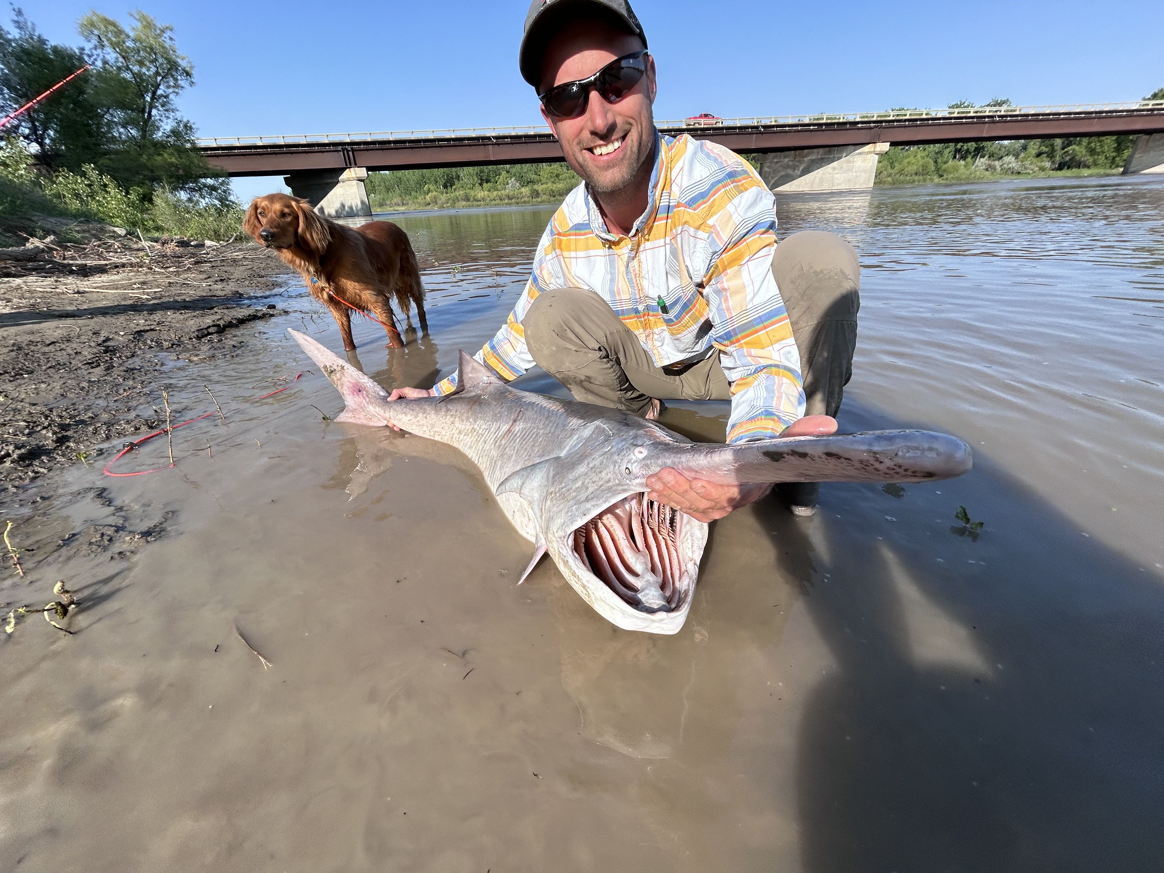 stonehunter_307 on One Bite Pizza App