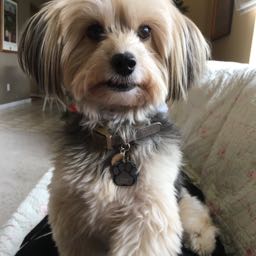 jalen.goodwin on One Bite Pizza App