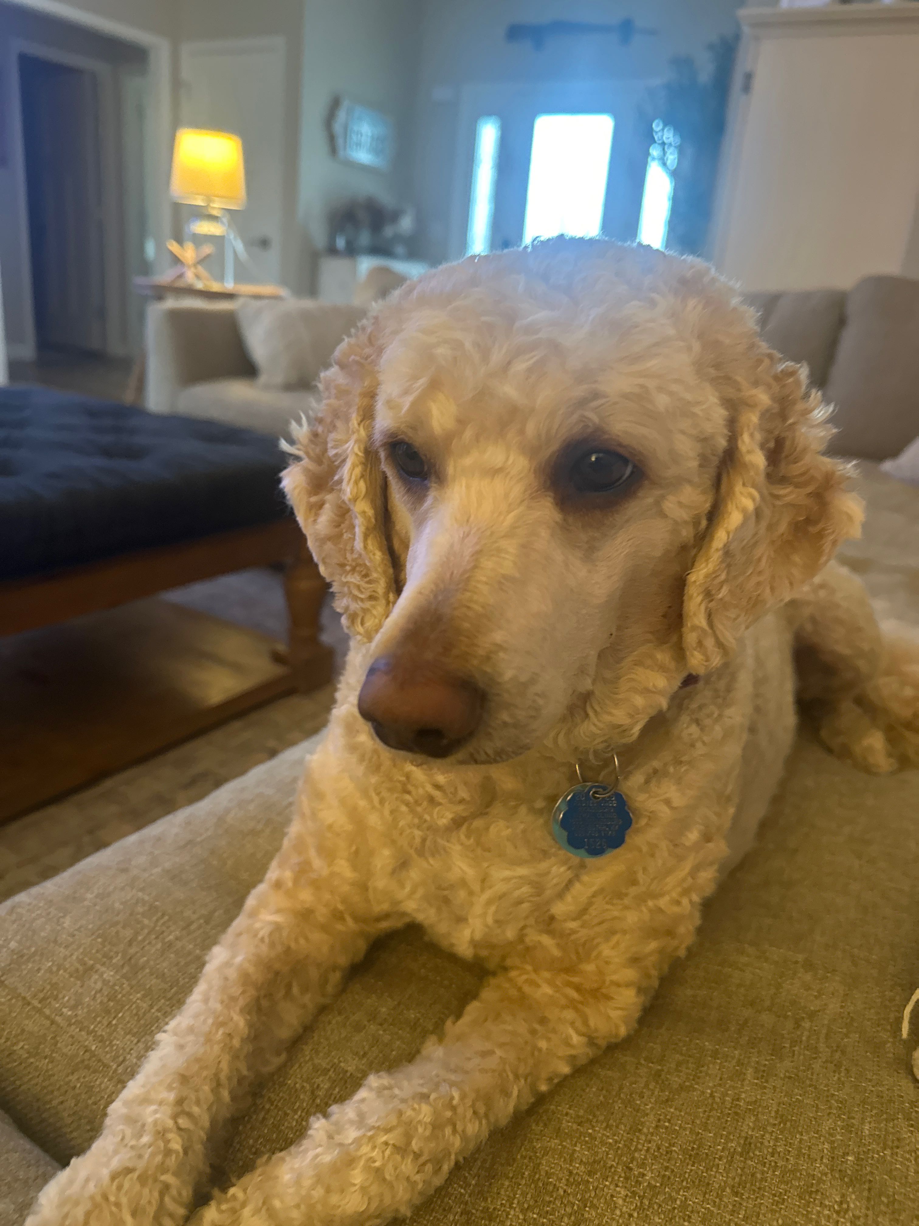 bhaddix77 on One Bite Pizza App