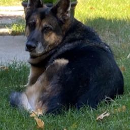 cooper.king2 on One Bite Pizza App