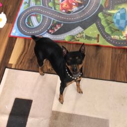 aj.mahoney on One Bite Pizza App