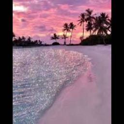 madison.parrott on One Bite Pizza App