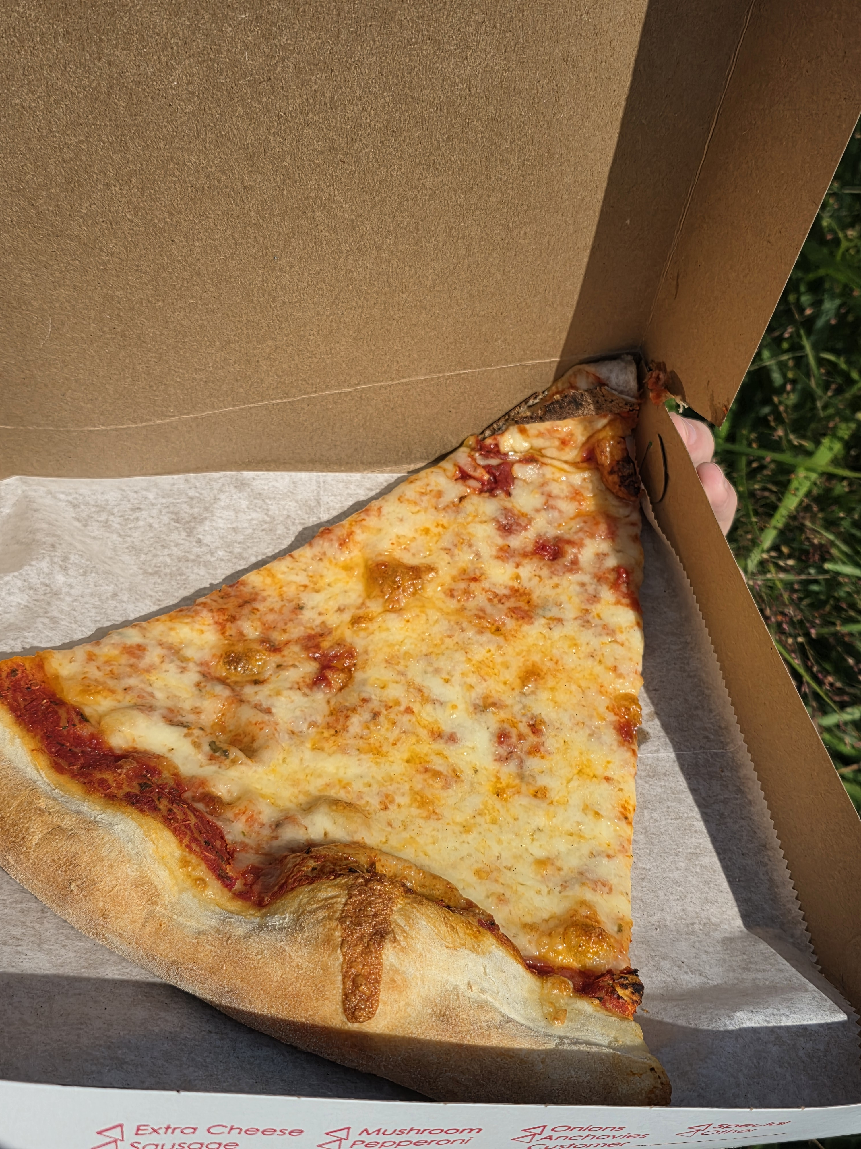 Pizza Review