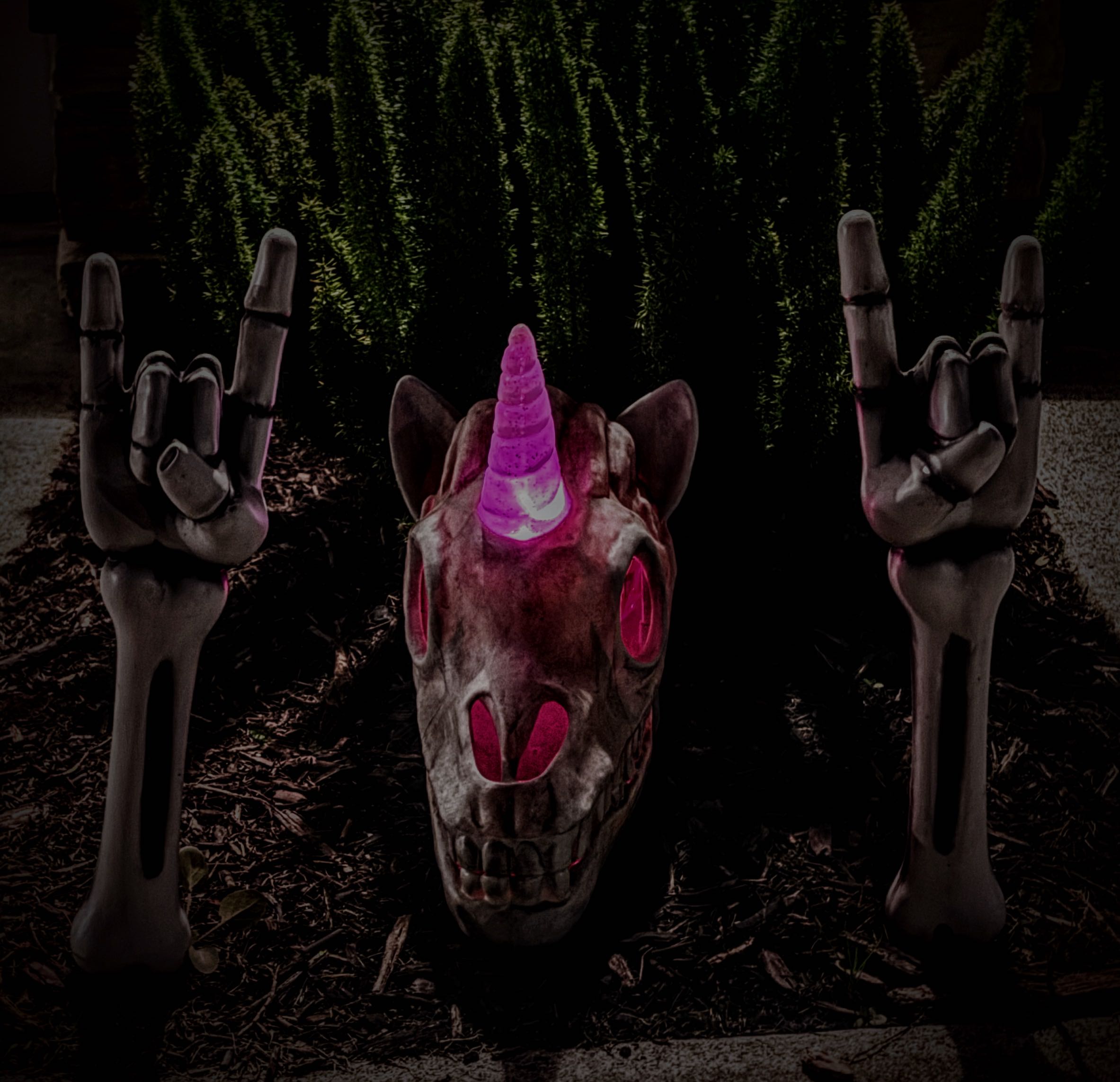 dvirus on One Bite Pizza App