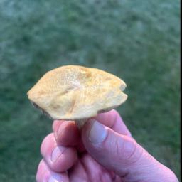 brian.smith78 on One Bite Pizza App