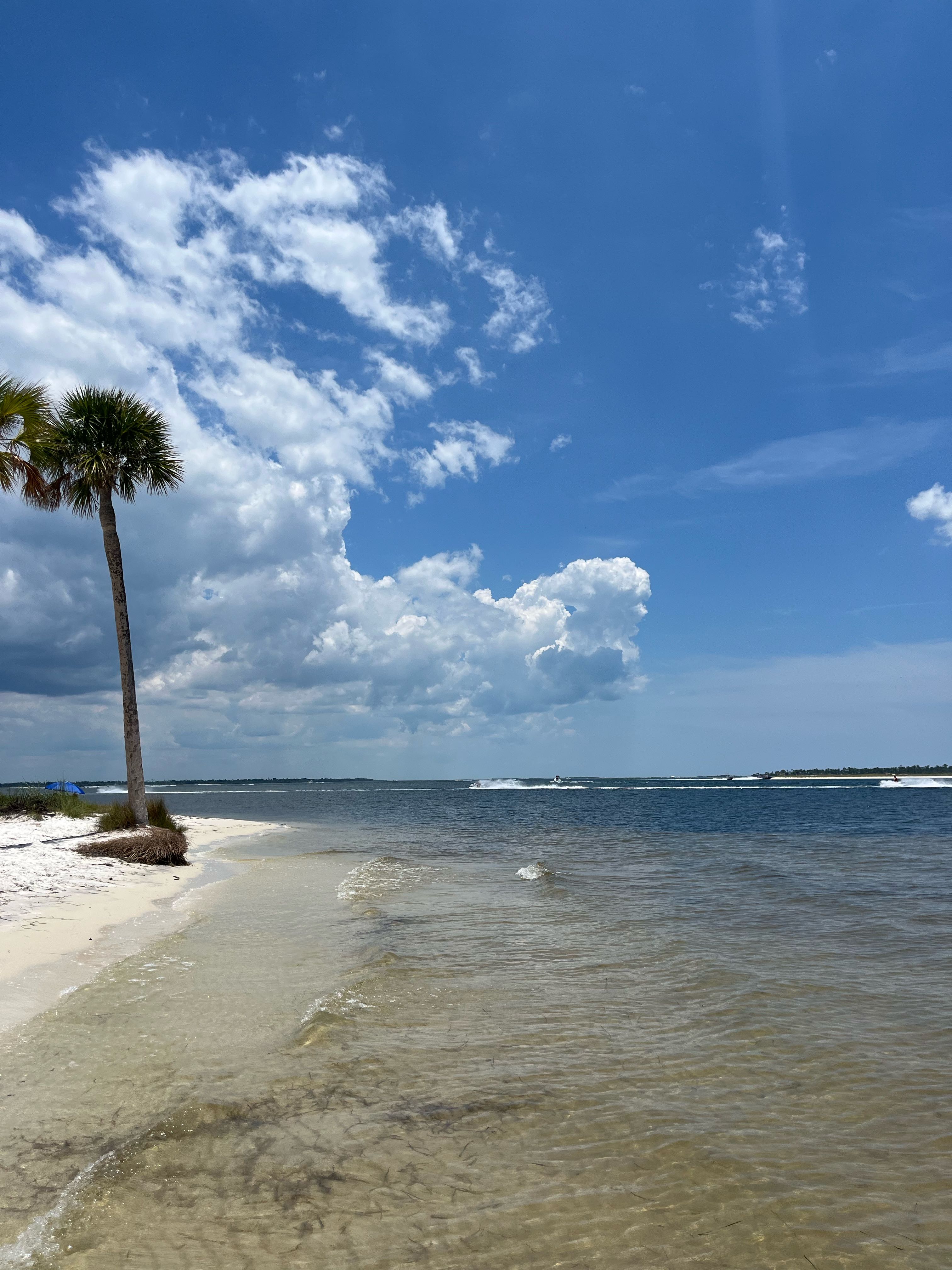 frank.catron on One Bite Pizza App