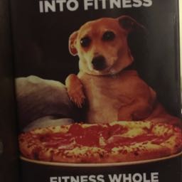 stone.palmer on One Bite Pizza App