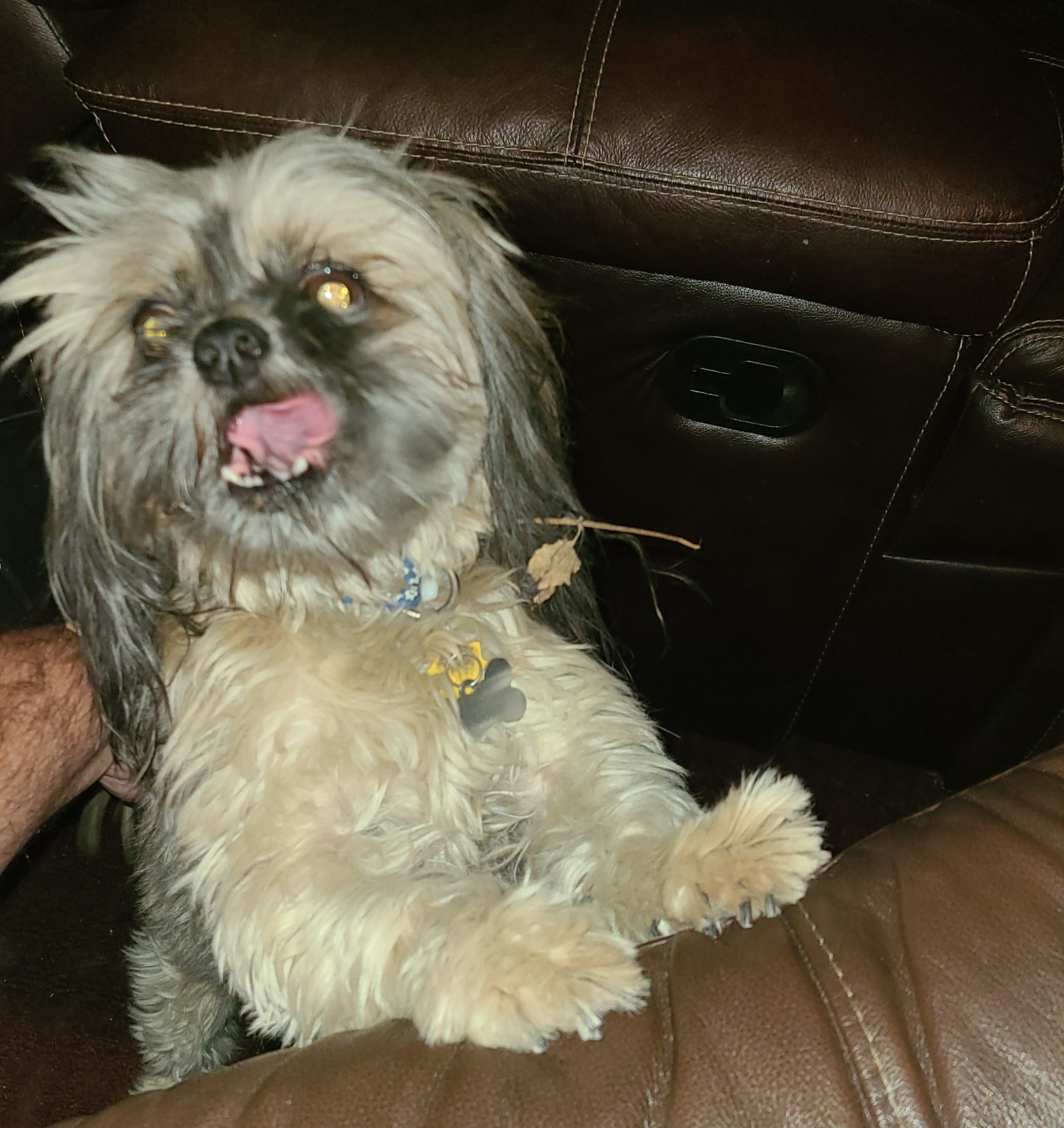 mike.montgomery5 on One Bite Pizza App