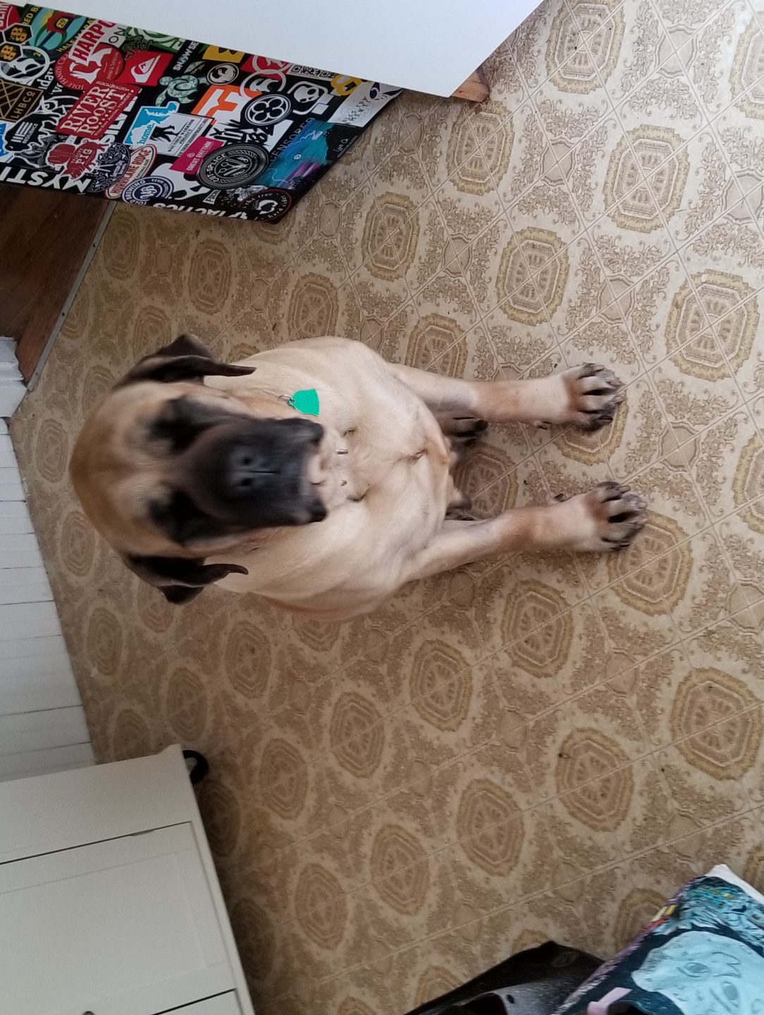 pat.lowe on One Bite Pizza App