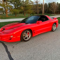 xtinct01 on One Bite Pizza App